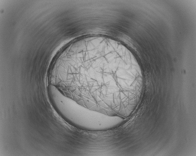 X0000073721032200608311814