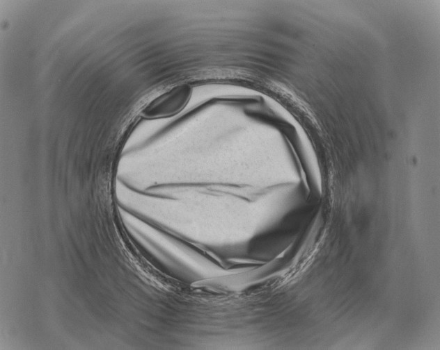 X0000073721033200608311814