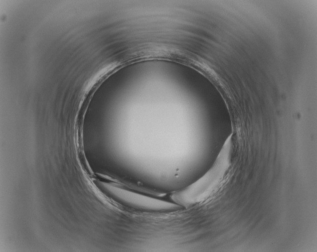 X0000073721034200608311814