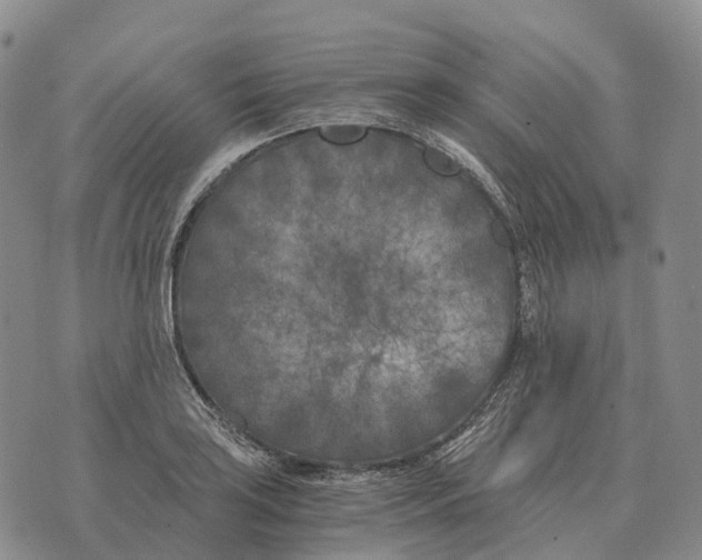 X0000073721035200608311814