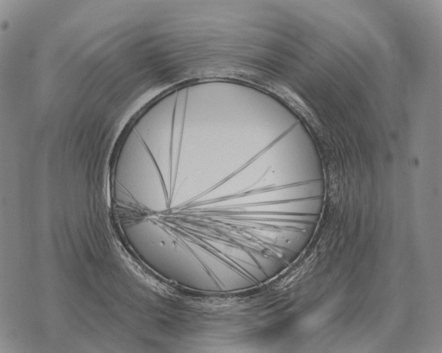 X0000073721036200608311814