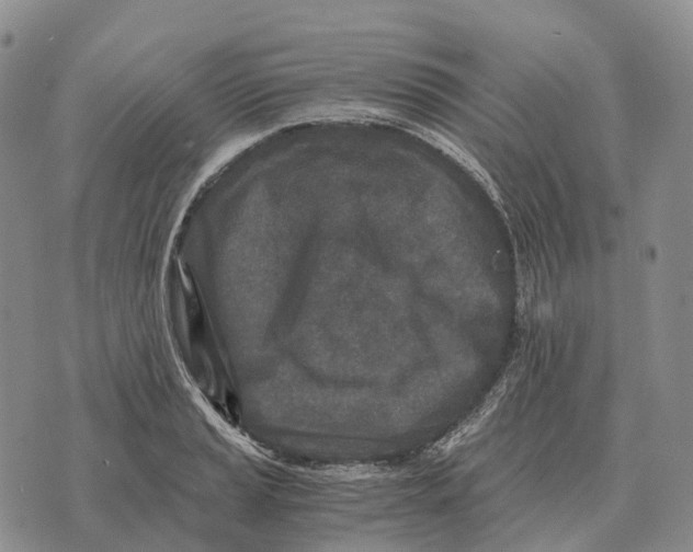 X0000073721037200608311814