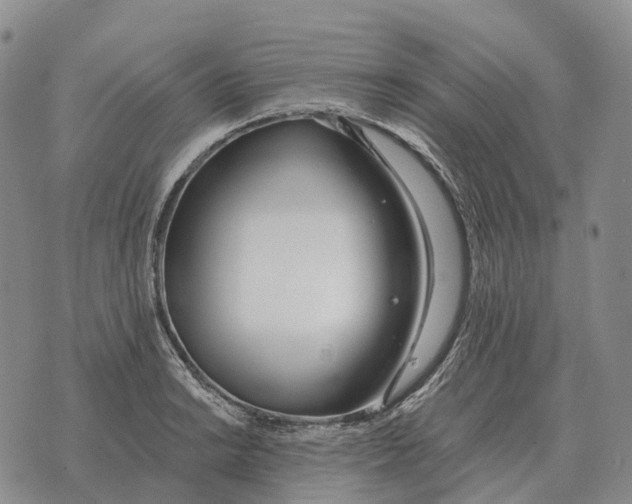 X0000073721038200608311814