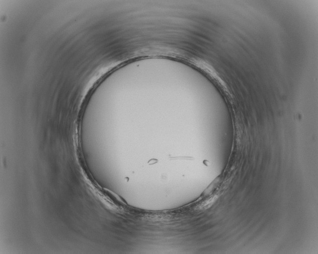 X0000073721040200608311814