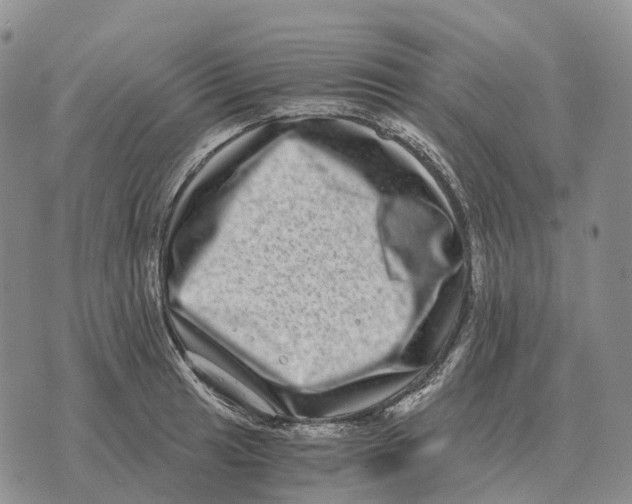 X0000073721041200608311814