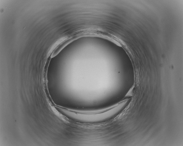 X0000073721042200608311814