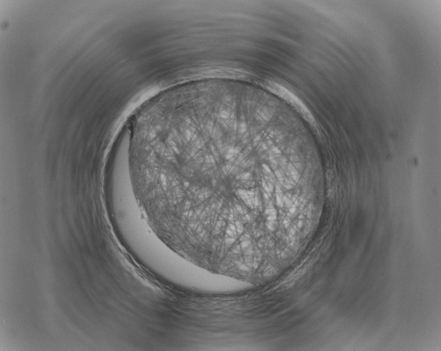 X0000073721043200608311814