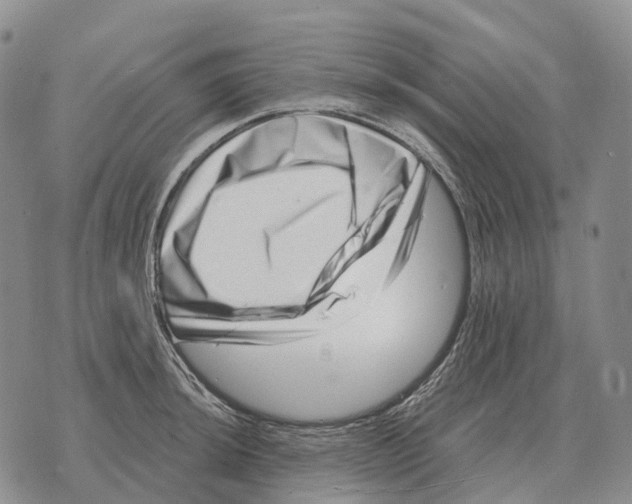 X0000073721044200608311815
