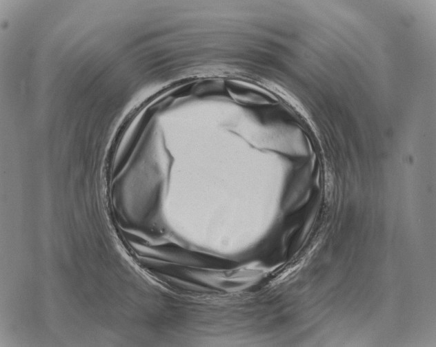 X0000073721045200608311815