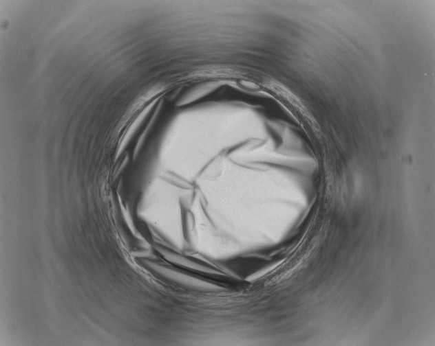 X0000073721049200608311815