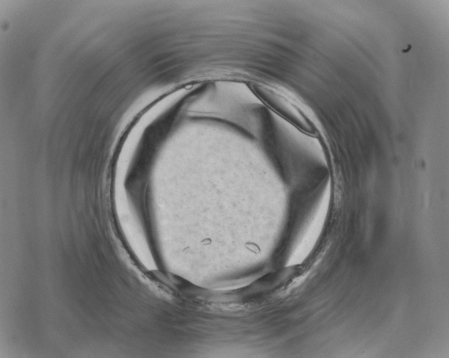 X0000073721053200608311815