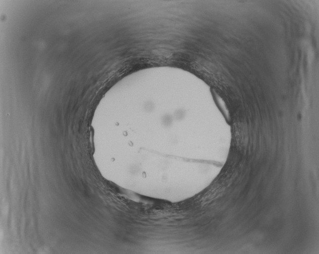 X0000073721057200608311814