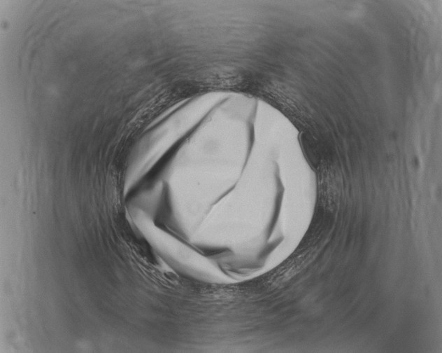 X0000073721058200608311814