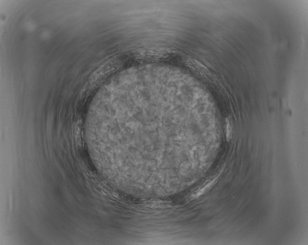 X0000073721059200608311814