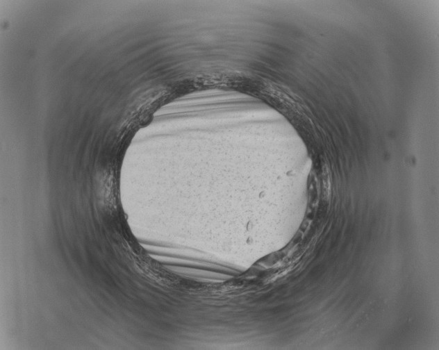 X0000073721060200608311814