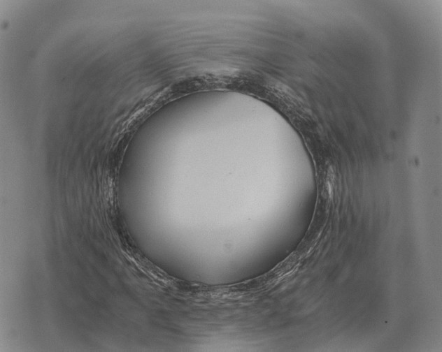 X0000073721061200608311814