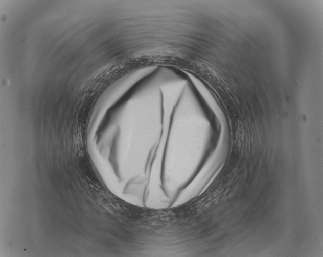 X0000073721062200608311814