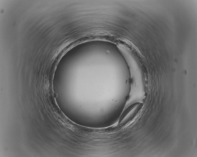 X0000073721065200608311814