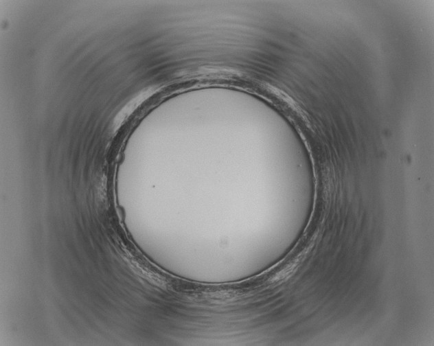 X0000073721066200608311814