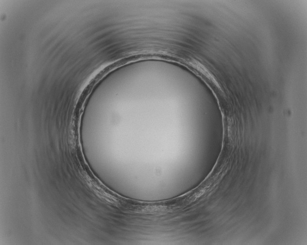 X0000073721068200608311814