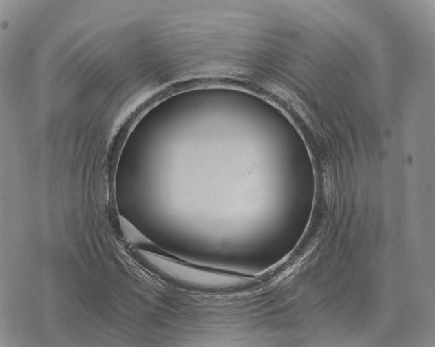 X0000073721069200608311814