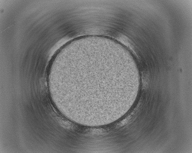 X0000073721070200608311814