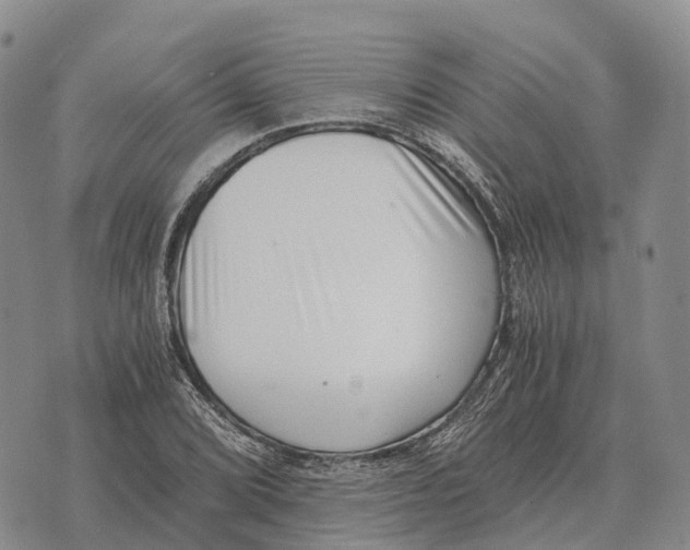 X0000073721072200608311814