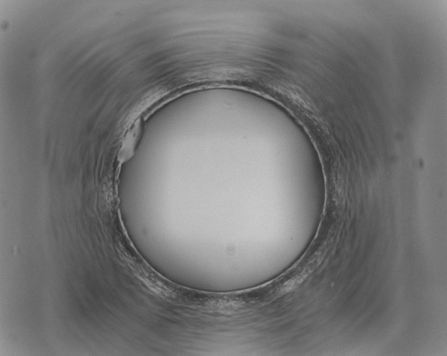 X0000073721073200608311814