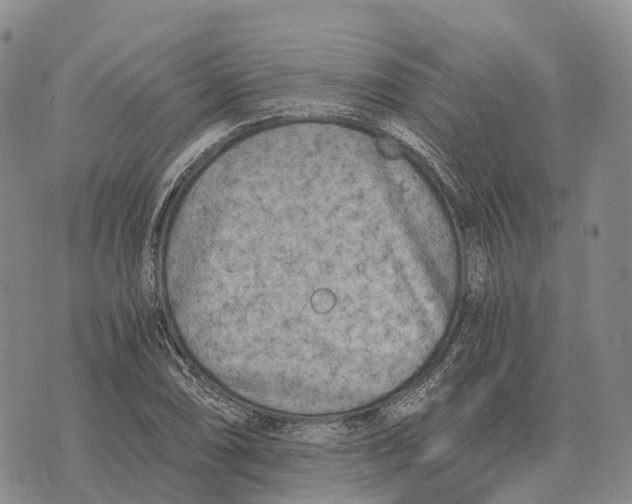 X0000073721074200608311814