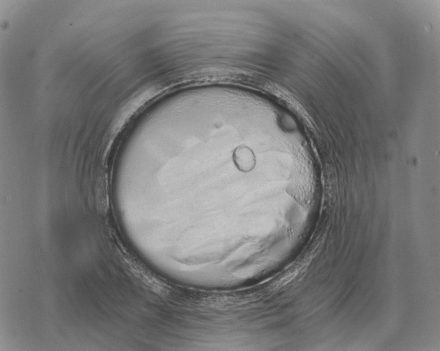 X0000073721075200608311814