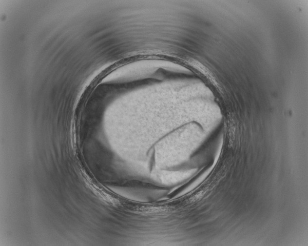 X0000073721076200608311814