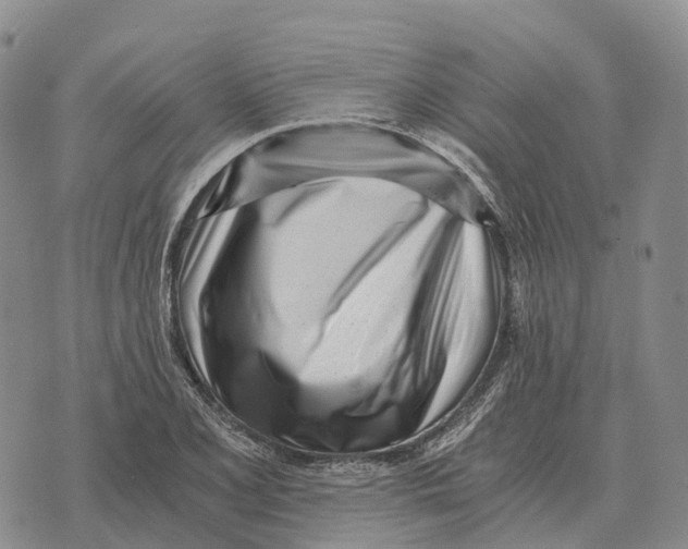 X0000073721077200608311814