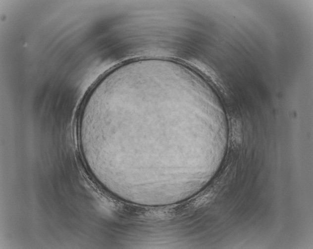 X0000073721078200608311814