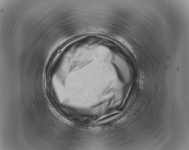 X0000073721080200608311814