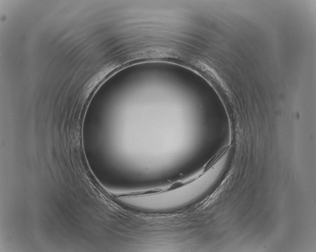 X0000073721081200608311814