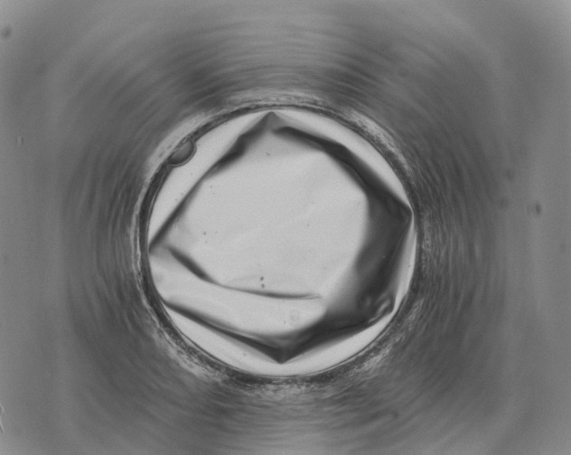 X0000073721082200608311814