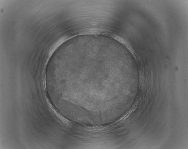 X0000073721083200608311813