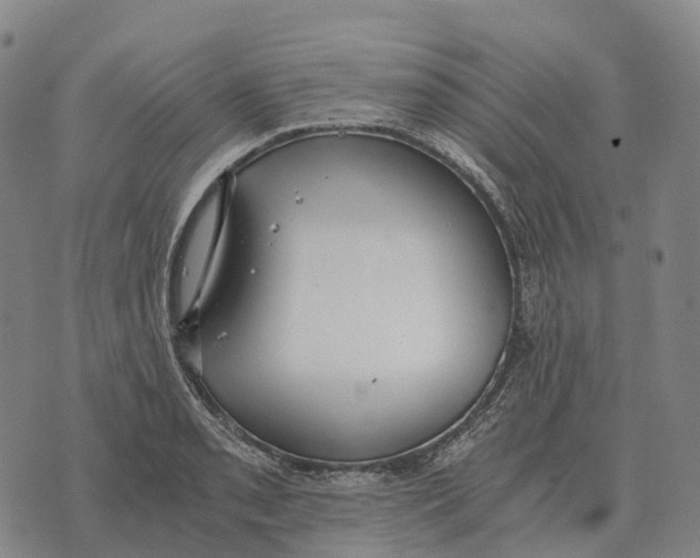 X0000073721085200608311813