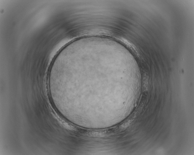 X0000073721086200608311813