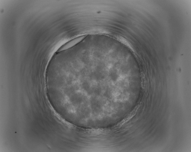 X0000073721087200608311813