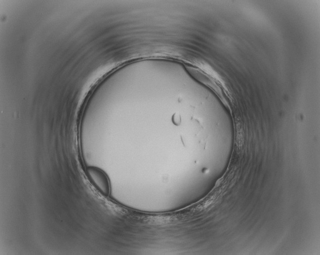 X0000073721088200608311813