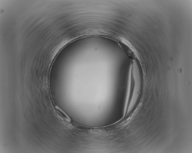 X0000073721089200608311813