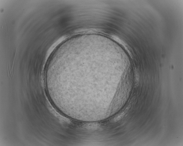 X0000073721090200608311813