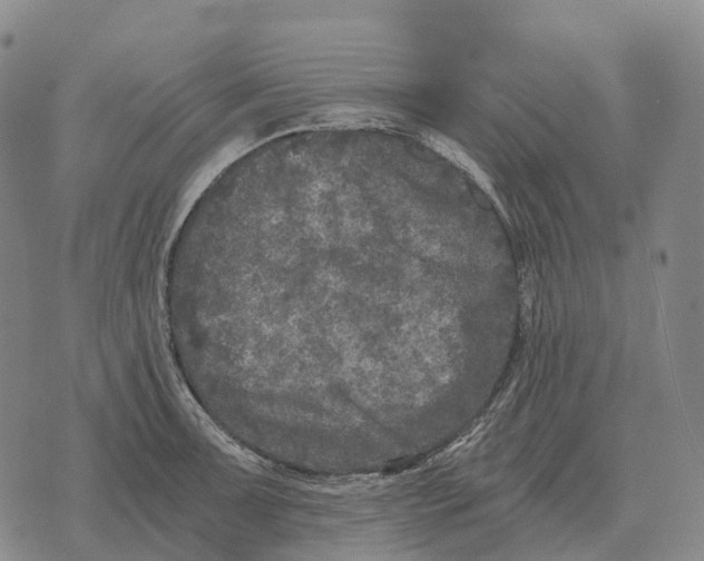 X0000073721091200608311813