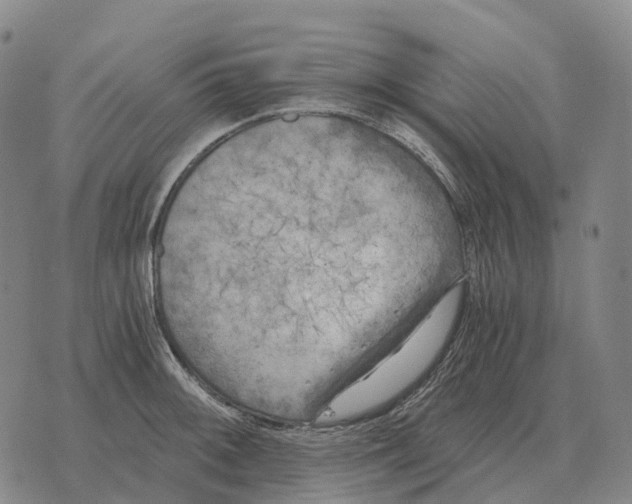 X0000073721092200608311813