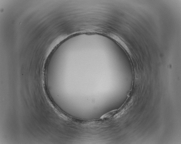 X0000073721093200608311813