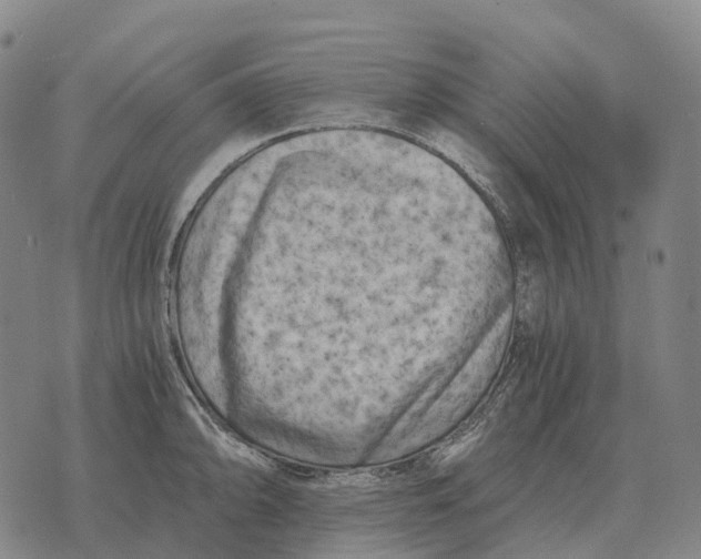 X0000073721094200608311813