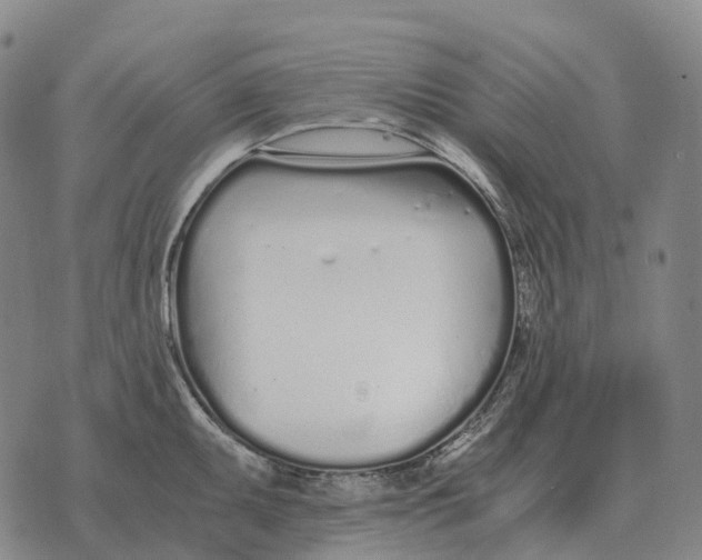 X0000073721095200608311813