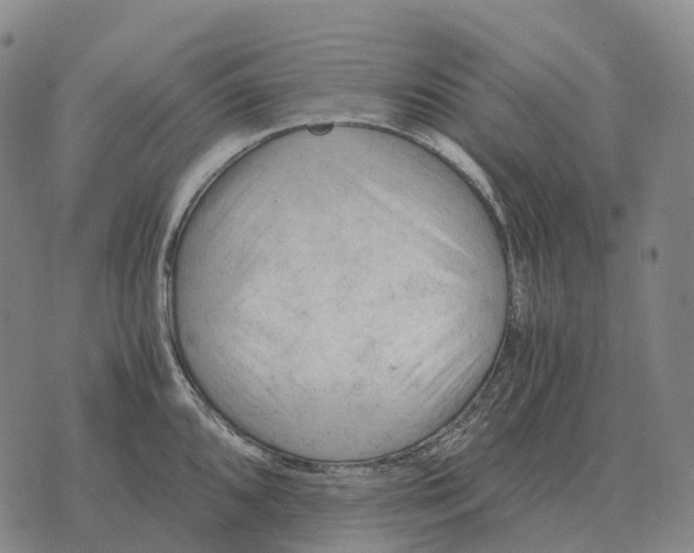 X0000073721096200608311813