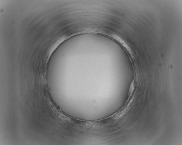 X0000073721097200608311813